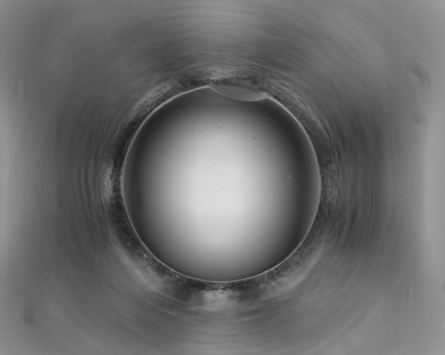 X0000112900216200908211524