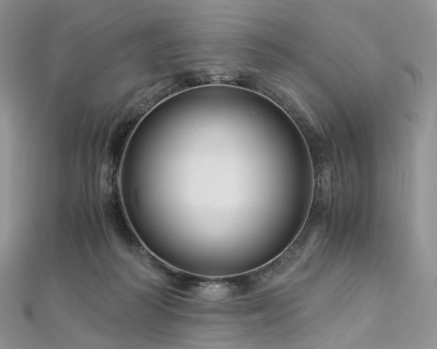 X0000112900218200908211524