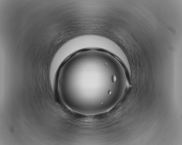 X0000112900219200908211524