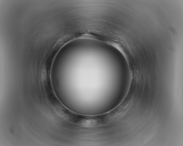 X0000112900220200908211524