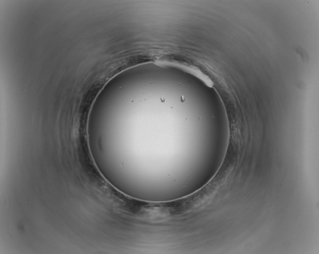 X0000112900221200908211524