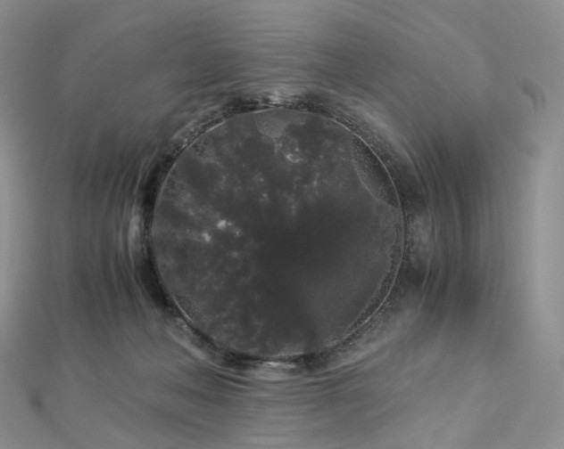 X0000112900222200908211524