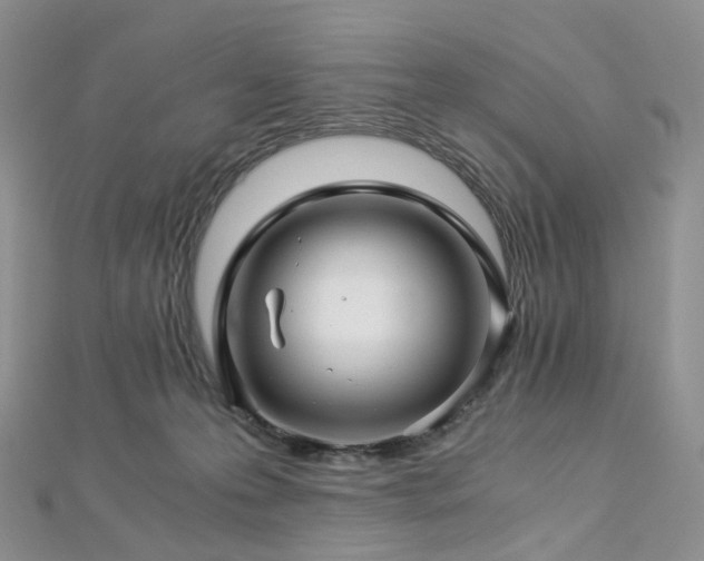 X0000112900223200908211523