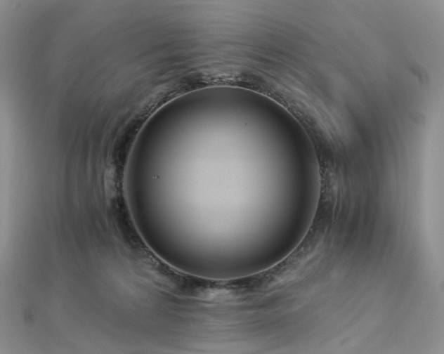 X0000112900224200908211523