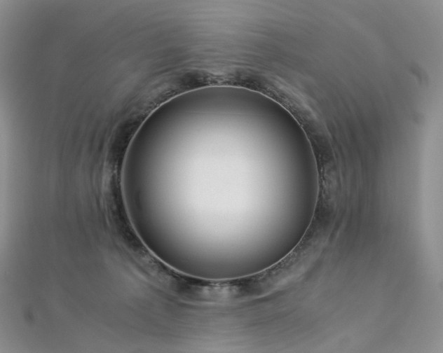 X0000112900225200908211523