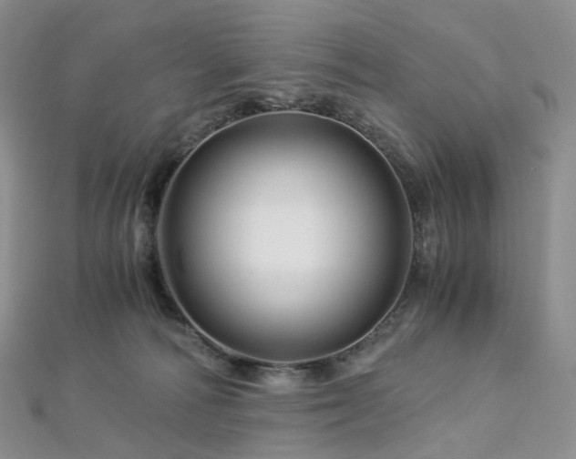 X0000112900226200908211523