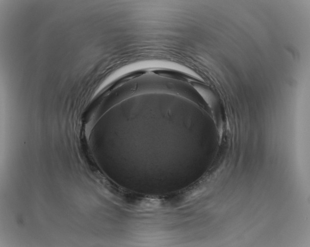 X0000112900227200908211523