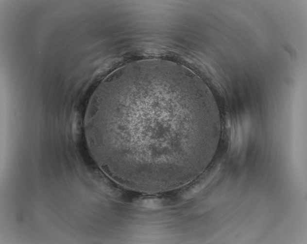 X0000112900228200908211523