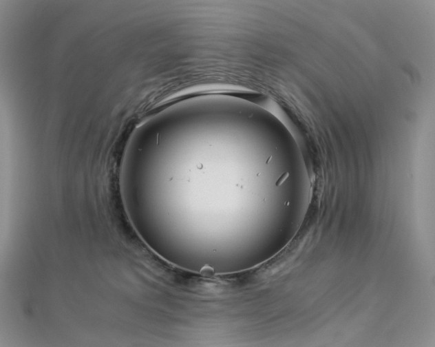 X0000112900229200908211523