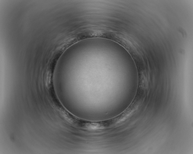 X0000112900230200908211523