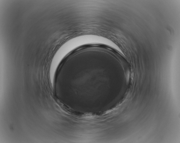 X0000112900231200908211523