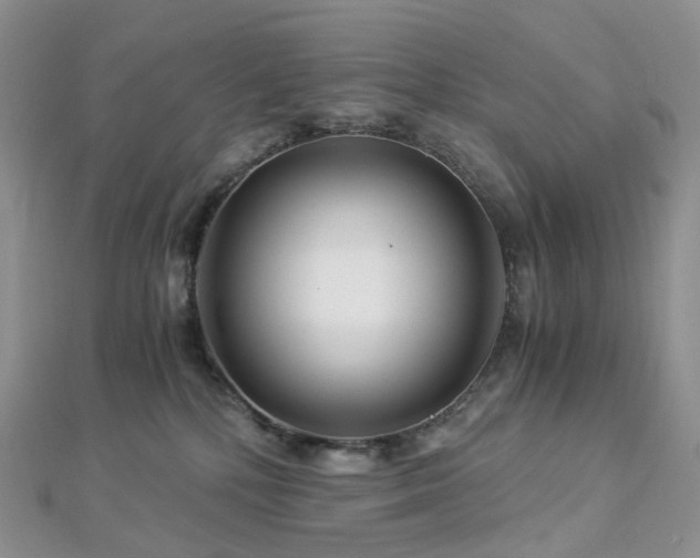 X0000112900232200908211523