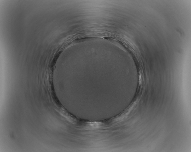 X0000112900233200908211523