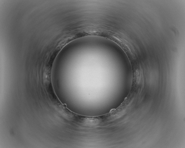 X0000112900234200908211523