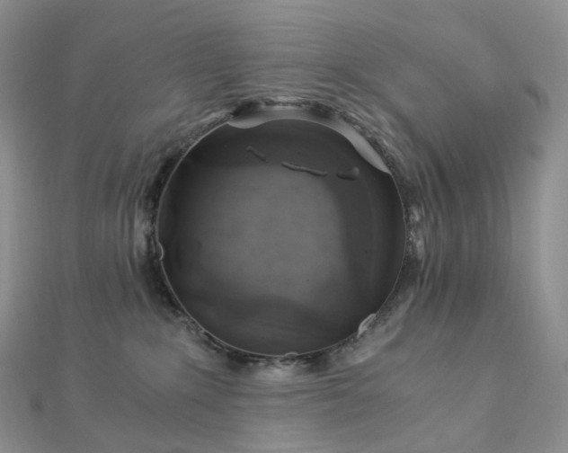 X0000112900235200908211523