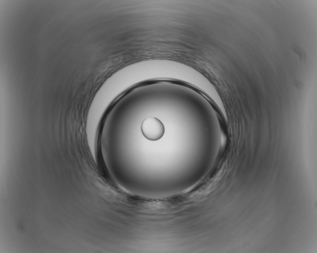 X0000112900237200908211523