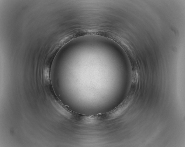 X0000112900238200908211523