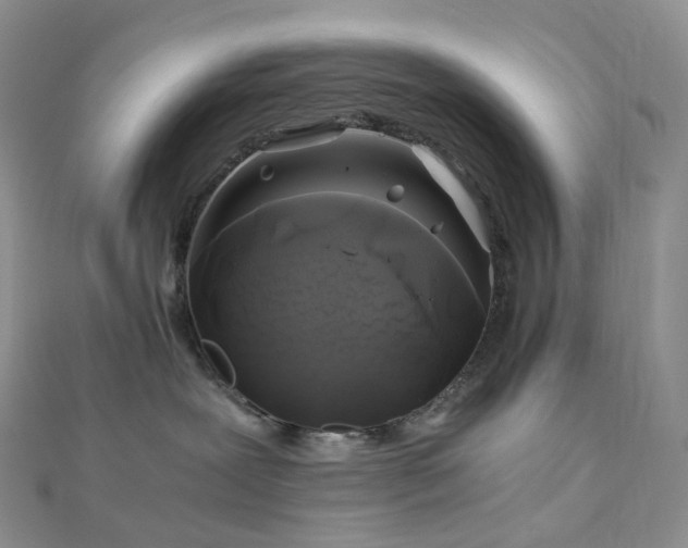 X0000112900239200908211523