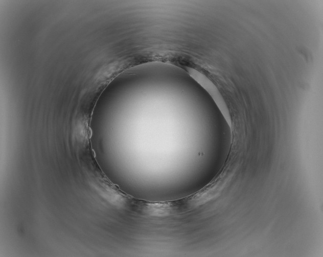 X0000112900240200908211523