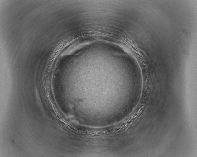 X0000112900241200908211523