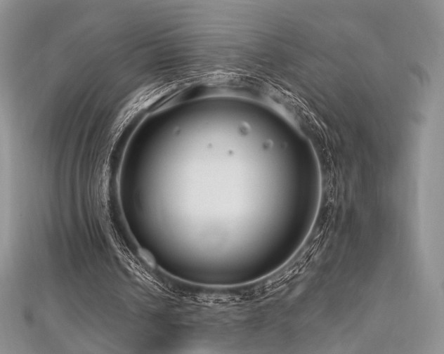 X0000112900242200908211523