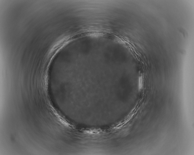 X0000112900243200908211523