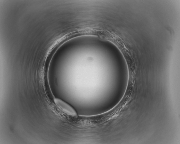 X0000112900244200908211523