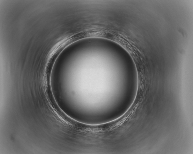 X0000112900245200908211523