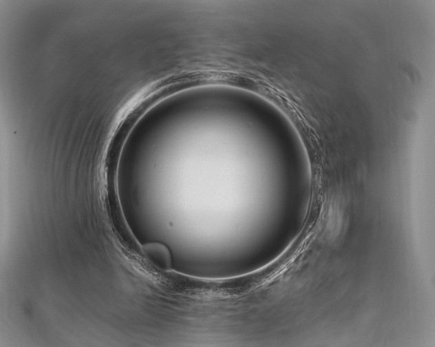 X0000112900246200908211523