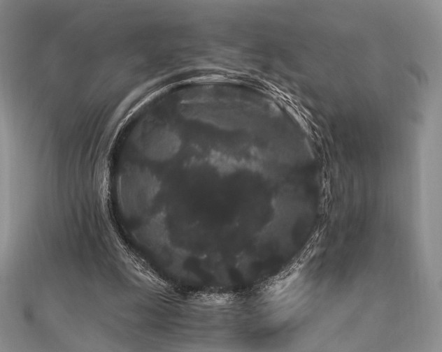 X0000112900247200908211523