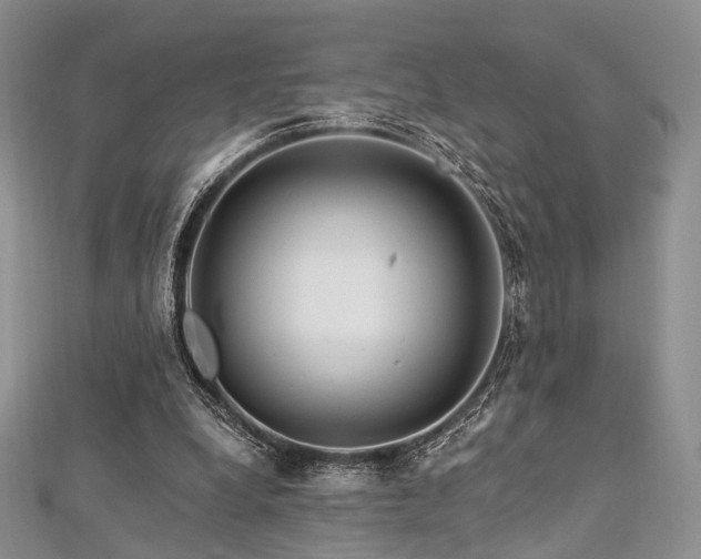 X0000112900248200908211523