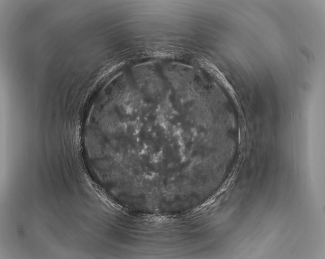 X0000112900249200908211523