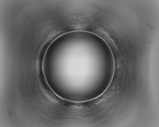 X0000112900250200908211523