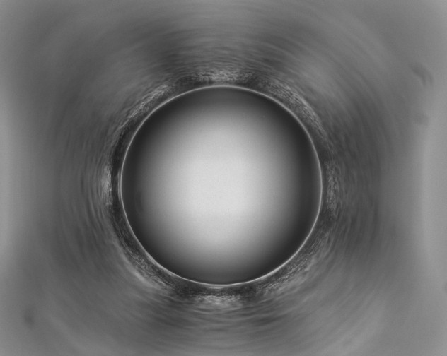 X0000112900251200908211523