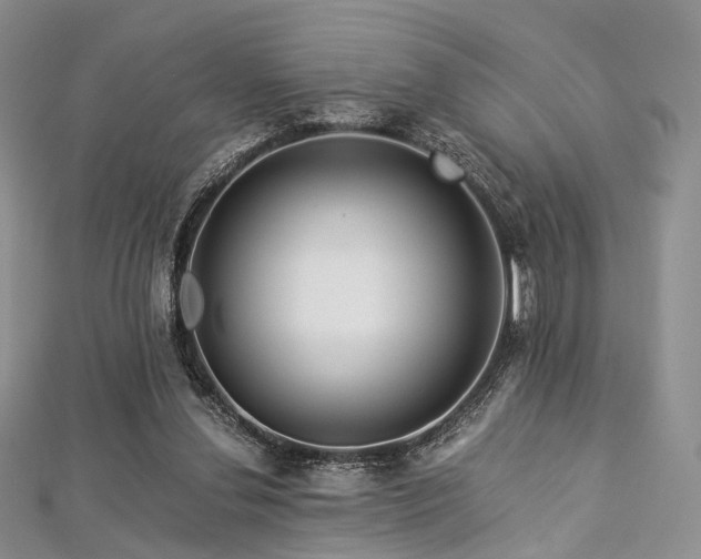 X0000112900252200908211523