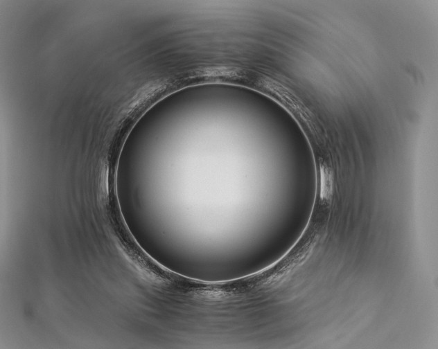 X0000112900253200908211523