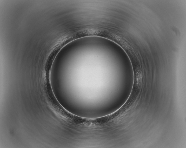 X0000112900254200908211523