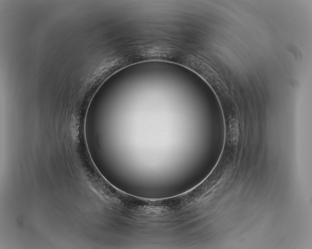 X0000112900255200908211523