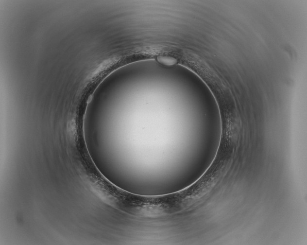 X0000112900256200908211523