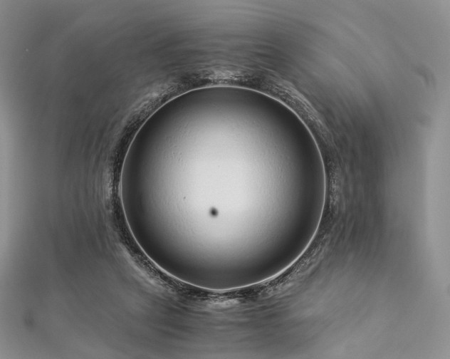 X0000112900257200908211523