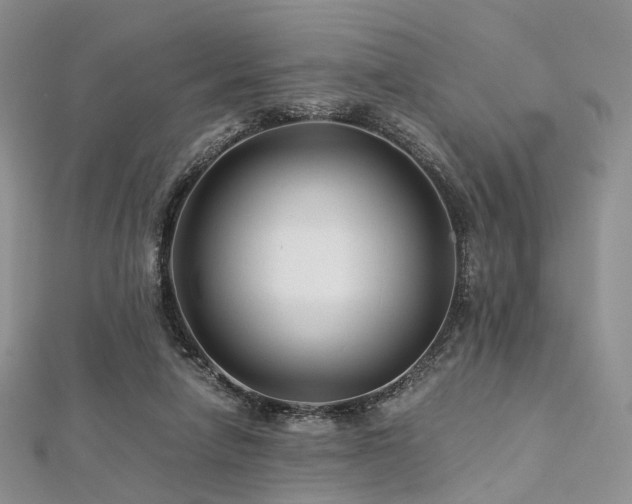 X0000112900258200908211523