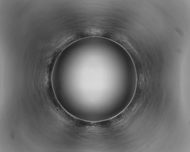 X0000112900259200908211523