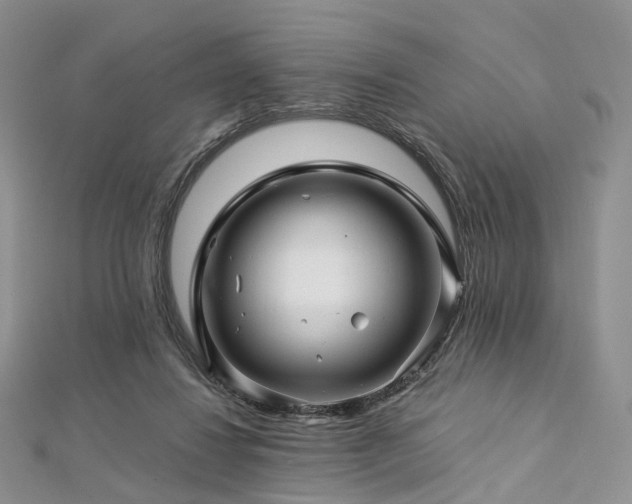 X0000112900260200908211523