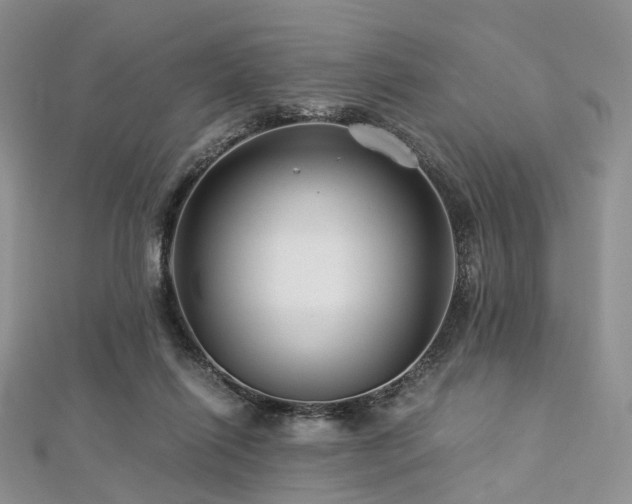 X0000112900262200908211523