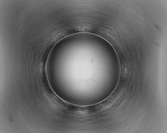 X0000112900263200908211523