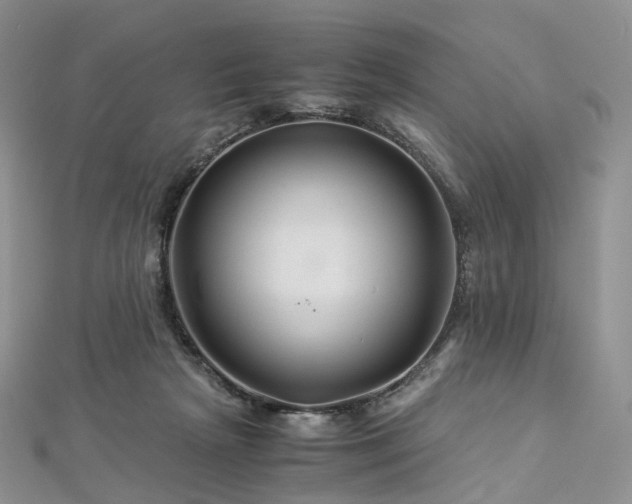 X0000112900265200908211523