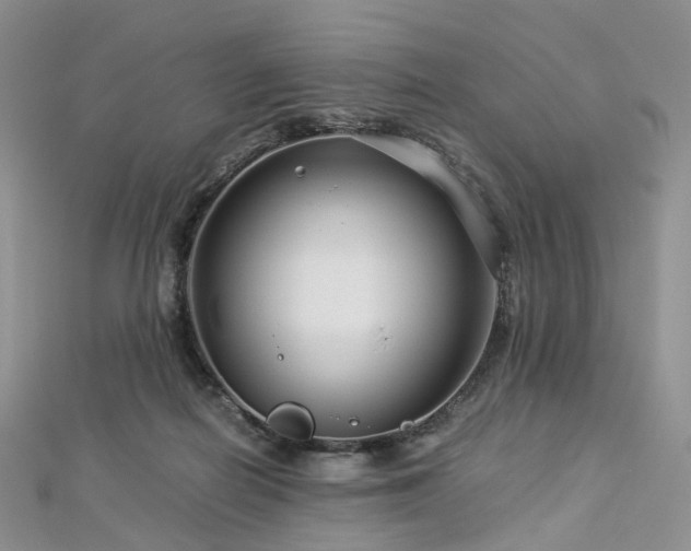 X0000112900266200908211523