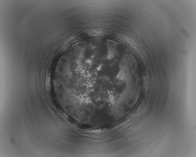 X0000112900267200908211523