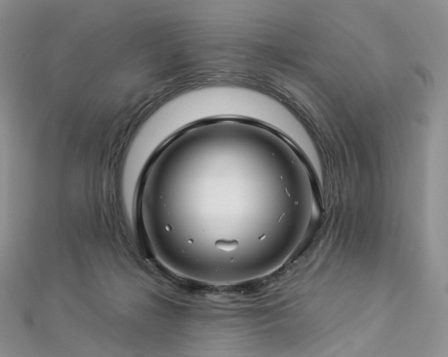 X0000112900268200908211523