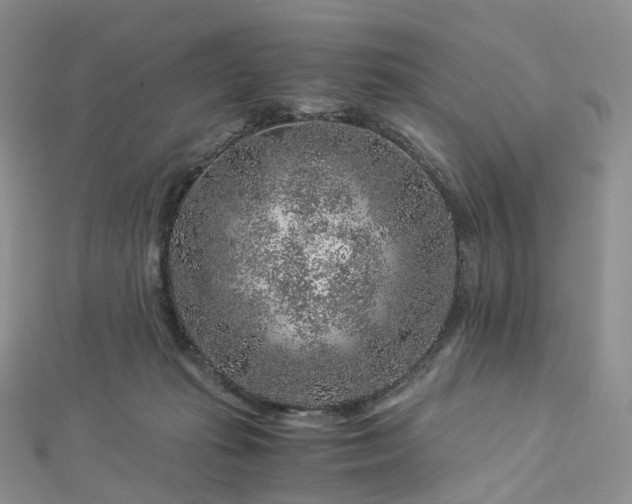 X0000112900269200908211523